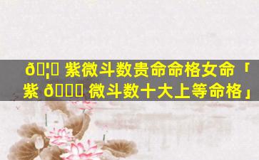 🦁 紫微斗数贵命命格女命「紫 💐 微斗数十大上等命格」